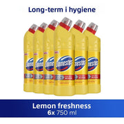 Bleach Lemon Freshness 750 ml 6 Pieces