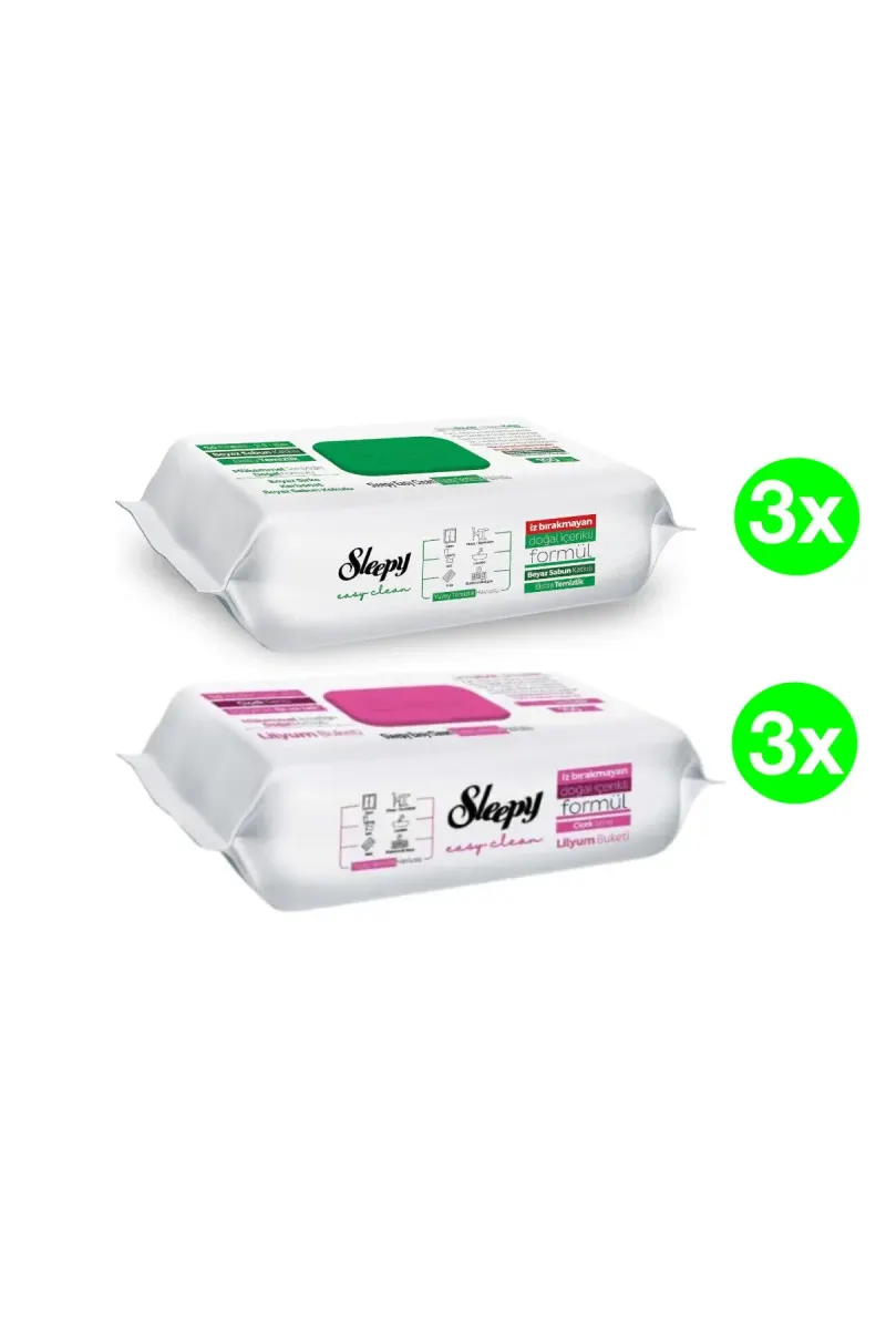 PACK - Easy Clean Multi-Surface Wet Wipes, 2 x 3 packs(100pcs./pack), 600 pcs.