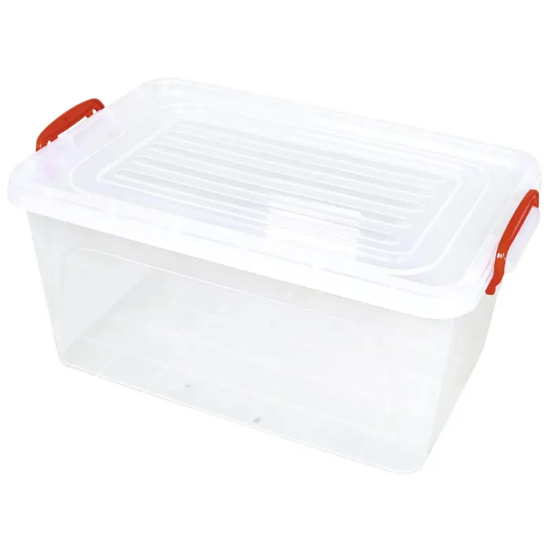 sterk Cutie Alimente/Depozitare 1,5 L