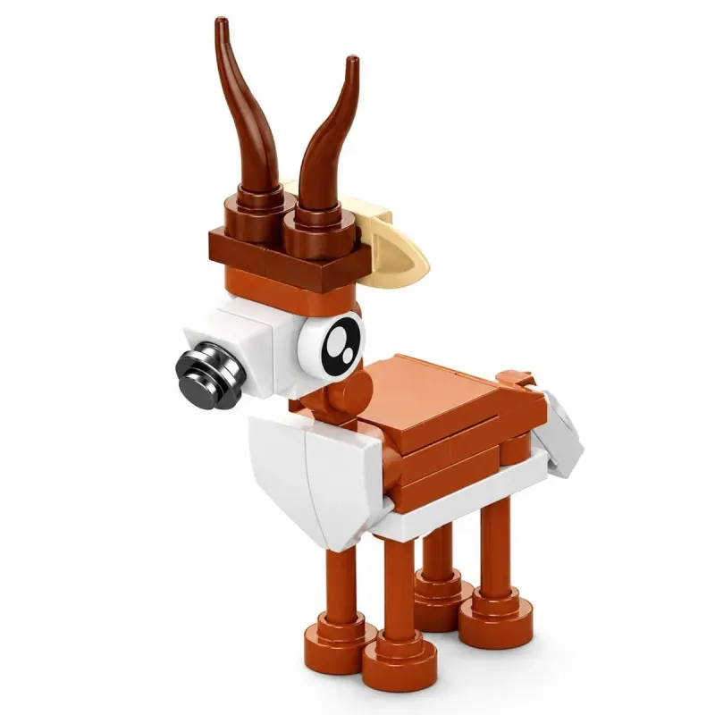 Set Constructie Diverse Animale