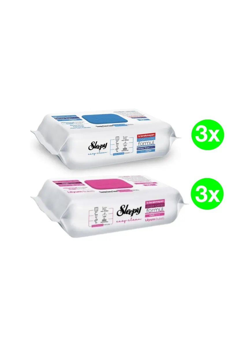 PACK - Easy Clean Multi-Surface Wet Wipes, 2 x 3 packs(100pcs./pack), 600 pcs.