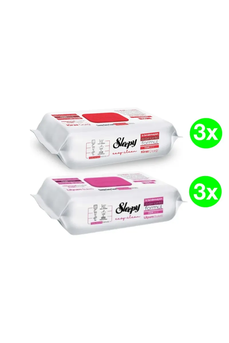 PACK - Easy Clean Multi-Surface Wet Wipes, 2 x 3 packs(100pcs./pack), 600 pcs.