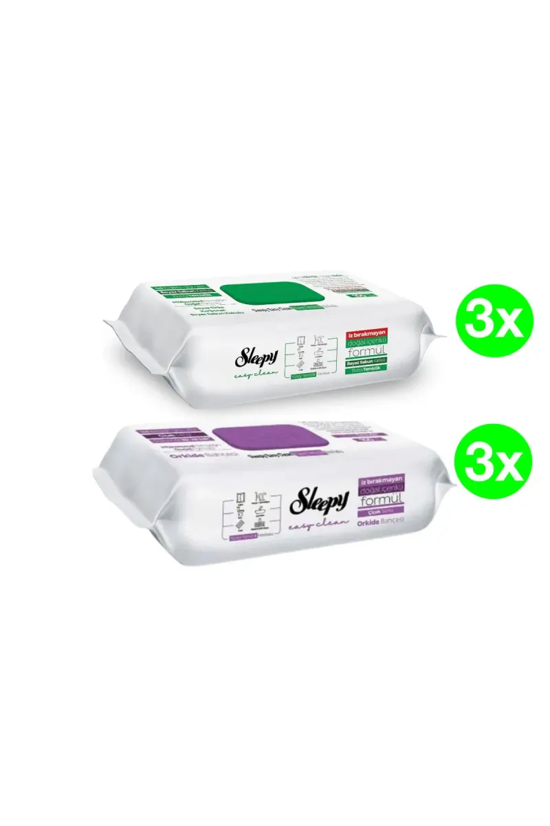 PACK - Easy Clean Multi-Surface Wet Wipes, 2 x 3 packs(100pcs./pack), 600 pcs.