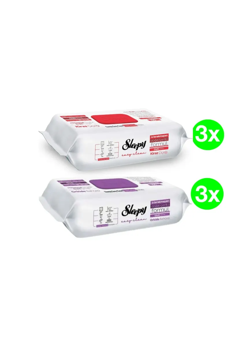 PACK - Easy Clean Multi-Surface Wet Wipes, 2 x 3 packs(100pcs./pack), 600 pcs.
