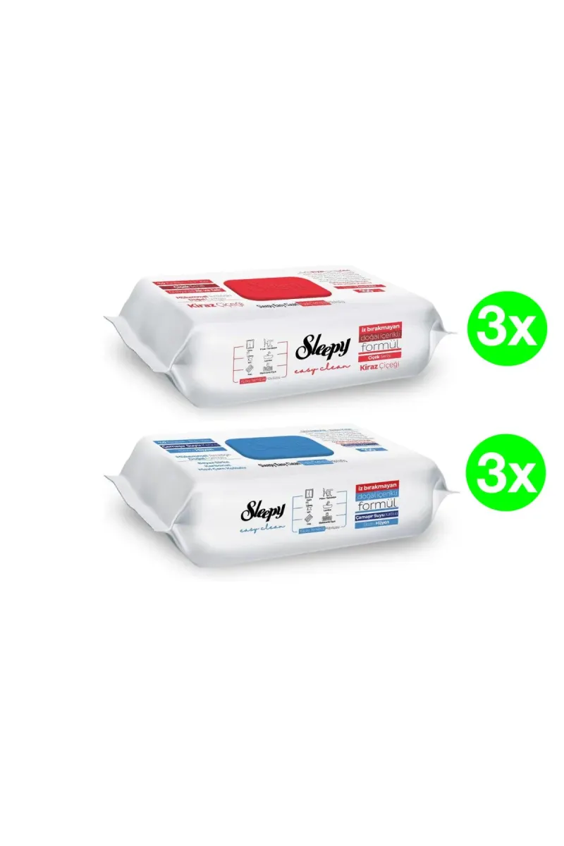 PACK - Easy Clean Multi-Surface Wet Wipes, 2 x 3 packs(100pcs./pack), 600 pcs.