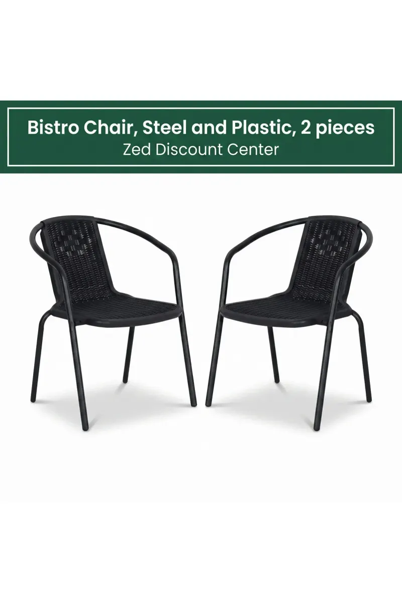 Bistro Chair, Steel and Plastic, 2 pieces