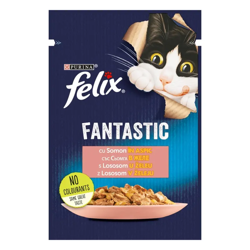 felix FANTASTIC Hrana pentru Pisici cu Somon in Aspic 85 g