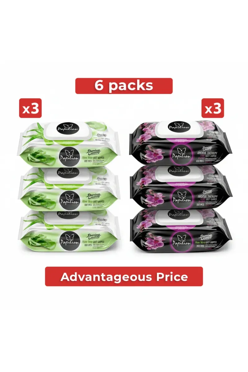 Premium 6-Pack Mixed Set - 6 x 100 Sheets of Wet Wipes