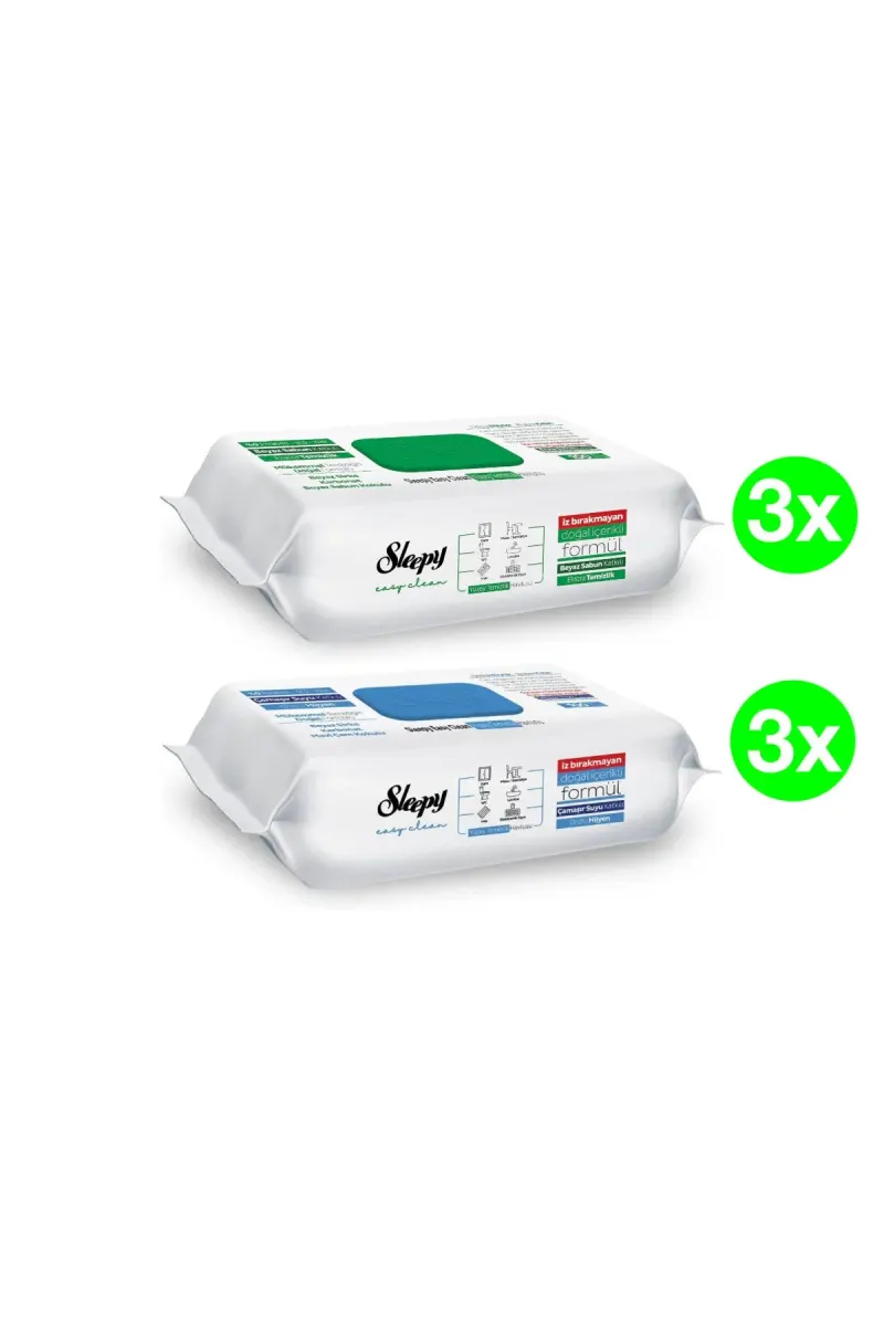 PACK - Easy Clean Multi-Surface Wet Wipes, 2 x 3 packs(100pcs./pack), 600 pcs.