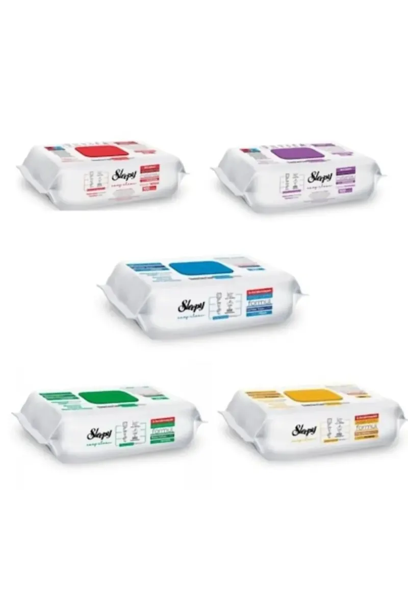 PACKAGE - 5 X Easy Clean Multi-Surface Wet Wipes, 100 Pcs