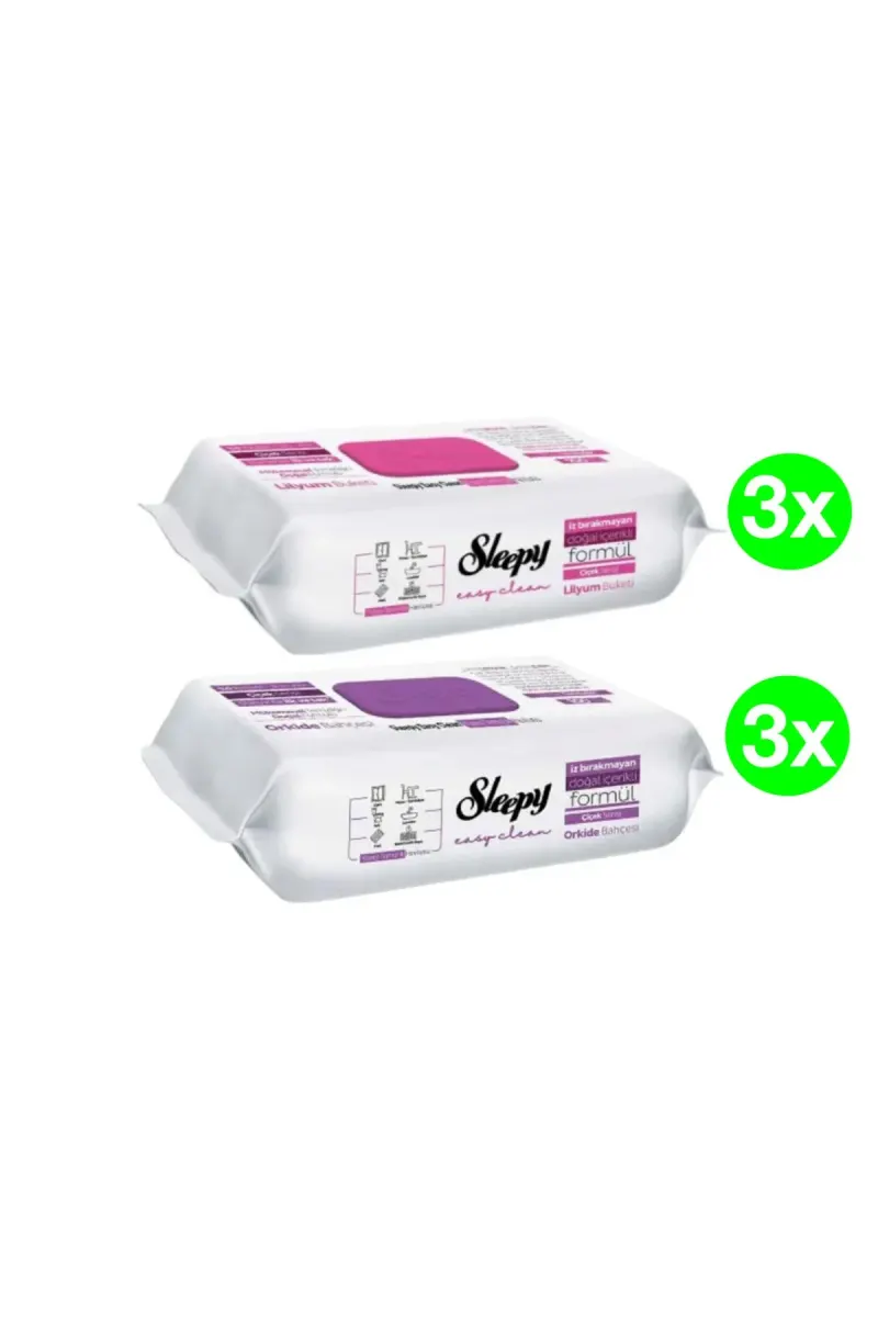 PACK - Easy Clean Multi-Surface Wet Wipes, 2 x 3 packs(100pcs./pack), 600 pcs.
