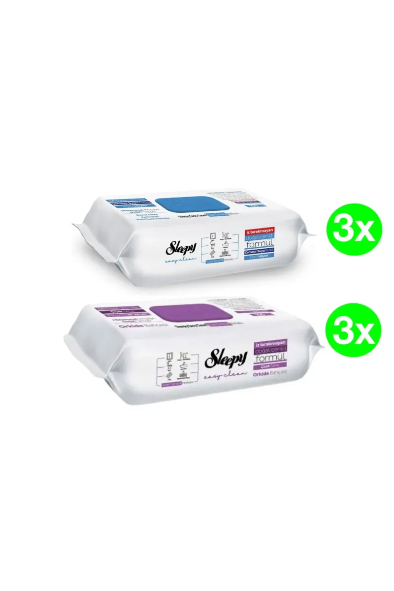 PACK - Easy Clean Multi-Surface Wet Wipes, 2 x 3 packs(100pcs./pack), 600 pcs.