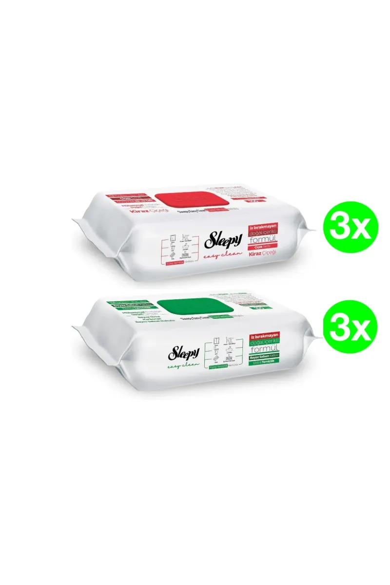 PACK Easy Clean Multi-Surface Wet Wipes, 2 x 3 packs(100pcs./pack), 600 pcs.